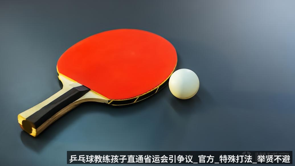 乒乓球教练孩子直通省运会引争议_官方_特殊打法_举贤不避亲